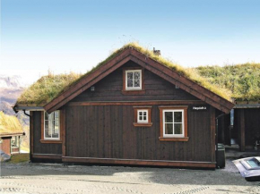 Отель Holiday home Hemsedal Høgeloft II, Хемседал